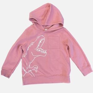 Old Navy Toddler Dino Hoodie